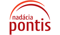 Pontis partnership